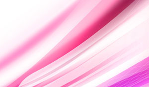 快速上手简单的自动攻击网站工具下载